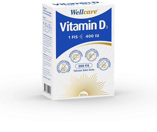 Wellcare Vitamin D3 400 IU 