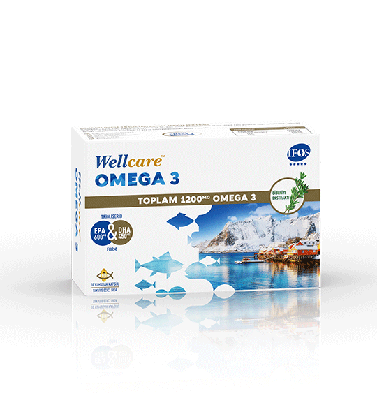 Wellcare Omega 3 Balık Yağı Kapsül