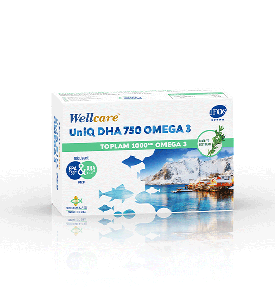 Wellcare UniQ DHA 750 Omega 3 Balık Yağı Kapsül